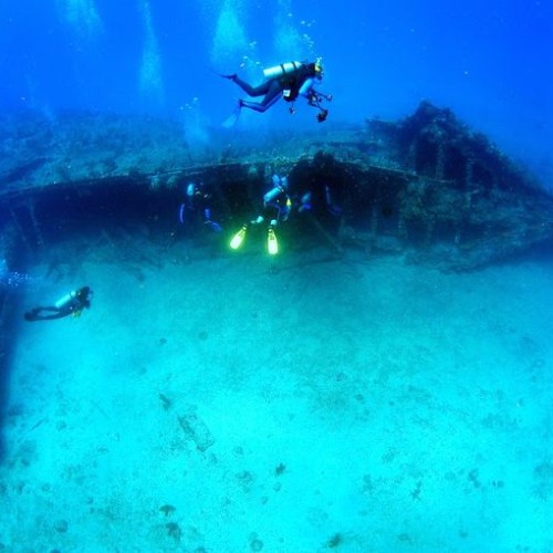 dive-abaco