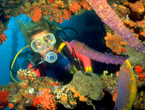 dive-abaco