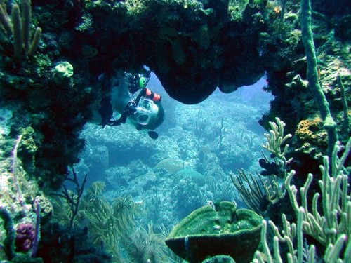 grand-bahamas-scuba2