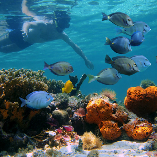 Bahamas_JeepReefDivers-e1381809917475