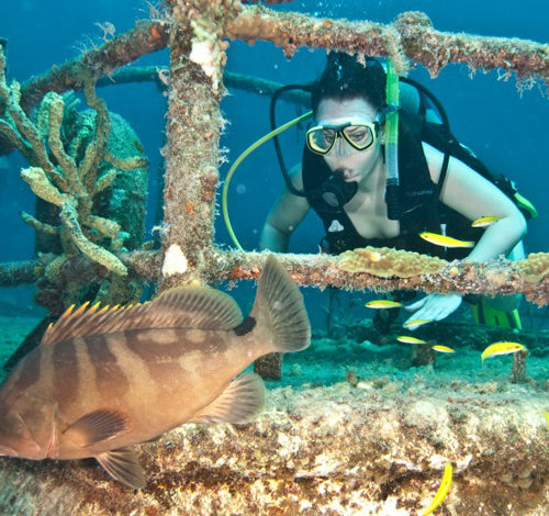 Bahamas_AustinSmithLauraGrouper_MiaToose-e1392671185763