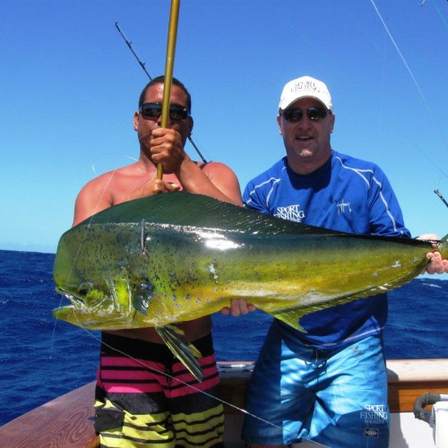 Yachts-Riviera-Maya-Deep-Sea-Fishing-Dolphin-Fish-Dorado-Mahi-Mahi