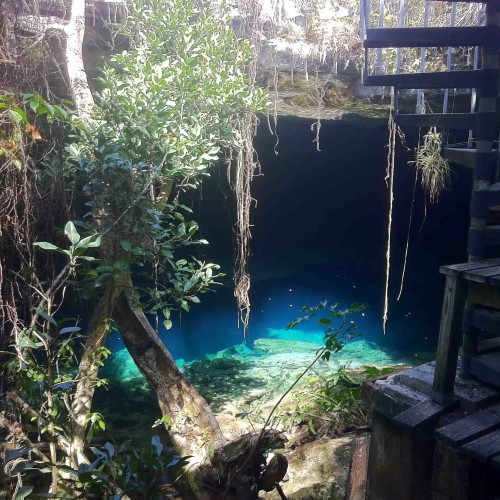 Bahamas_AustinSmithLauraGrouper_MiaToose-e1392671185763