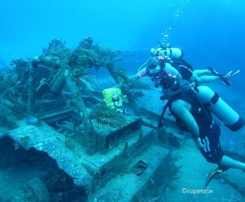 Bahamas_JeepReefDivers-e1381809917475