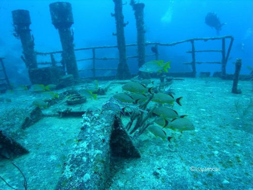 grand-bahamas-scuba2