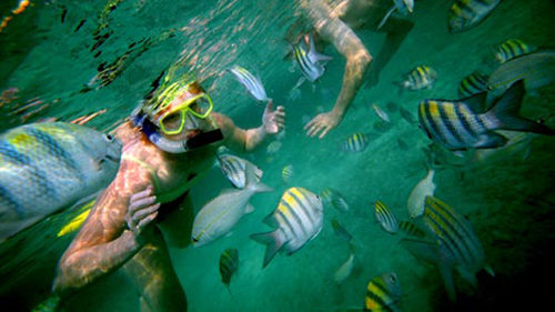 staniel-cay-snorkel3