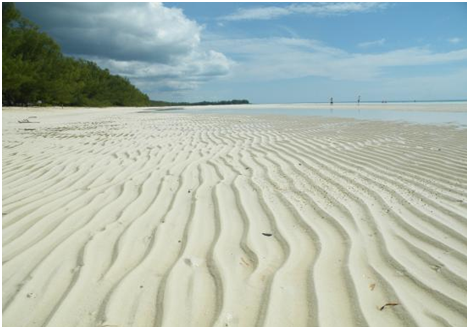 Gold Rock Beach (Grand Bahama Island)