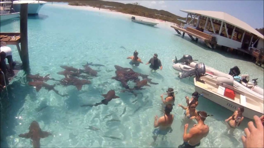 Offshore Fishing Rum Cay 